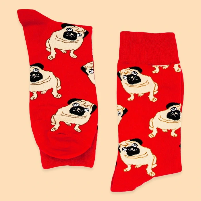 detailed photo of pug socks from both sides 