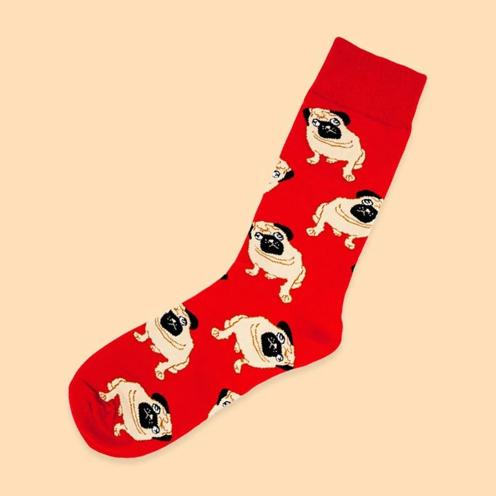 single pair of socks with pugs in red color from kumplo