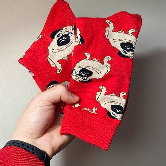 customer photo review of pug socks from kumplo
