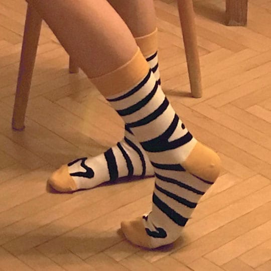 zebra socks funny