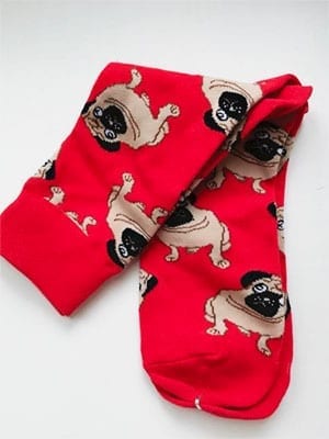 socks with pug on white background