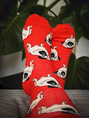 client's feet photo in pug socks
