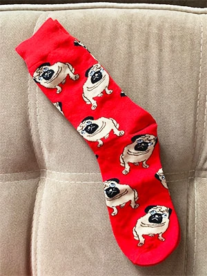 red color pug socks on couch