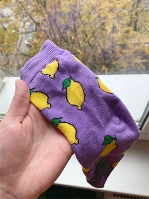 lovely socks with lemons from kumplo socks