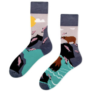 bear and fish socks