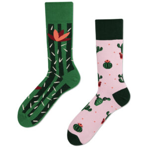 cactus socks