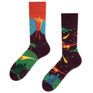 dinosaurs socks