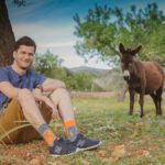 donkey and carrot socks