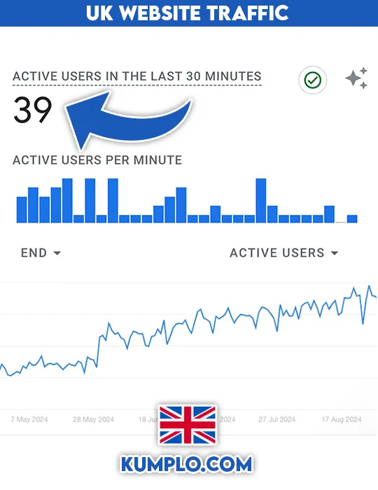 buy uk website traffic